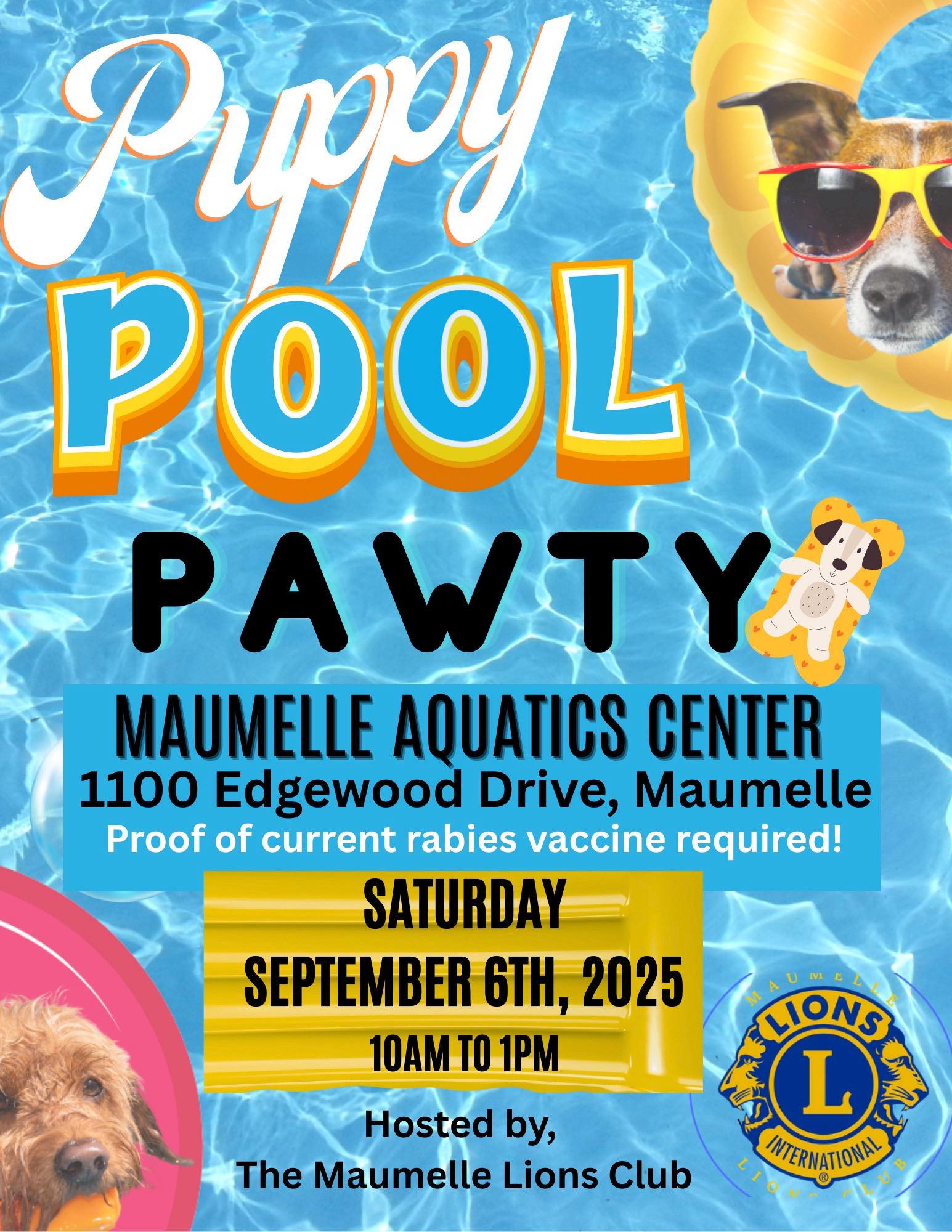 Puppy Pool Pawty Information 