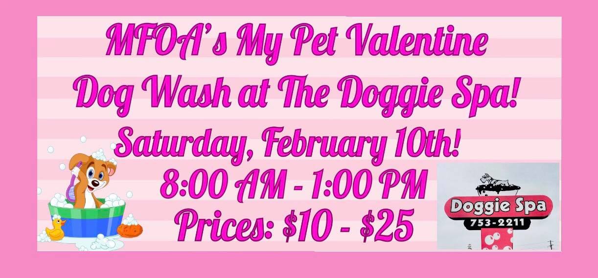 Dog Wash 2018